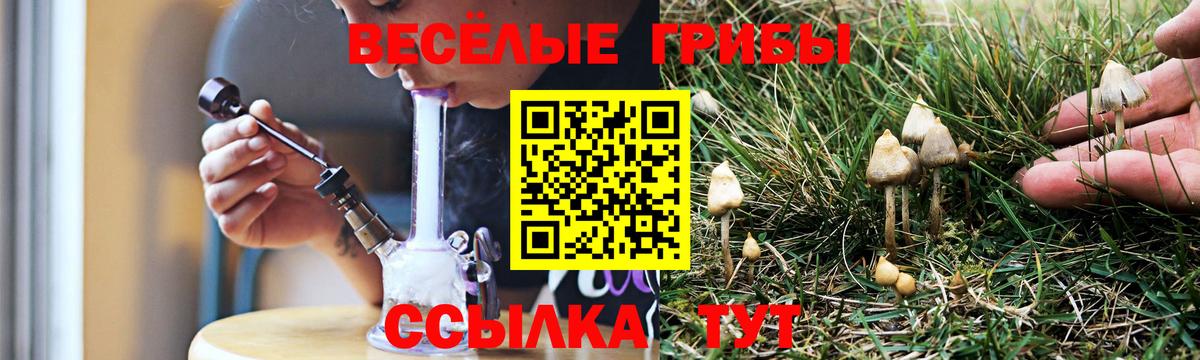 Псилоцибиновые грибы GOLDEN TEACHER  Вход с VPN  Кашира 